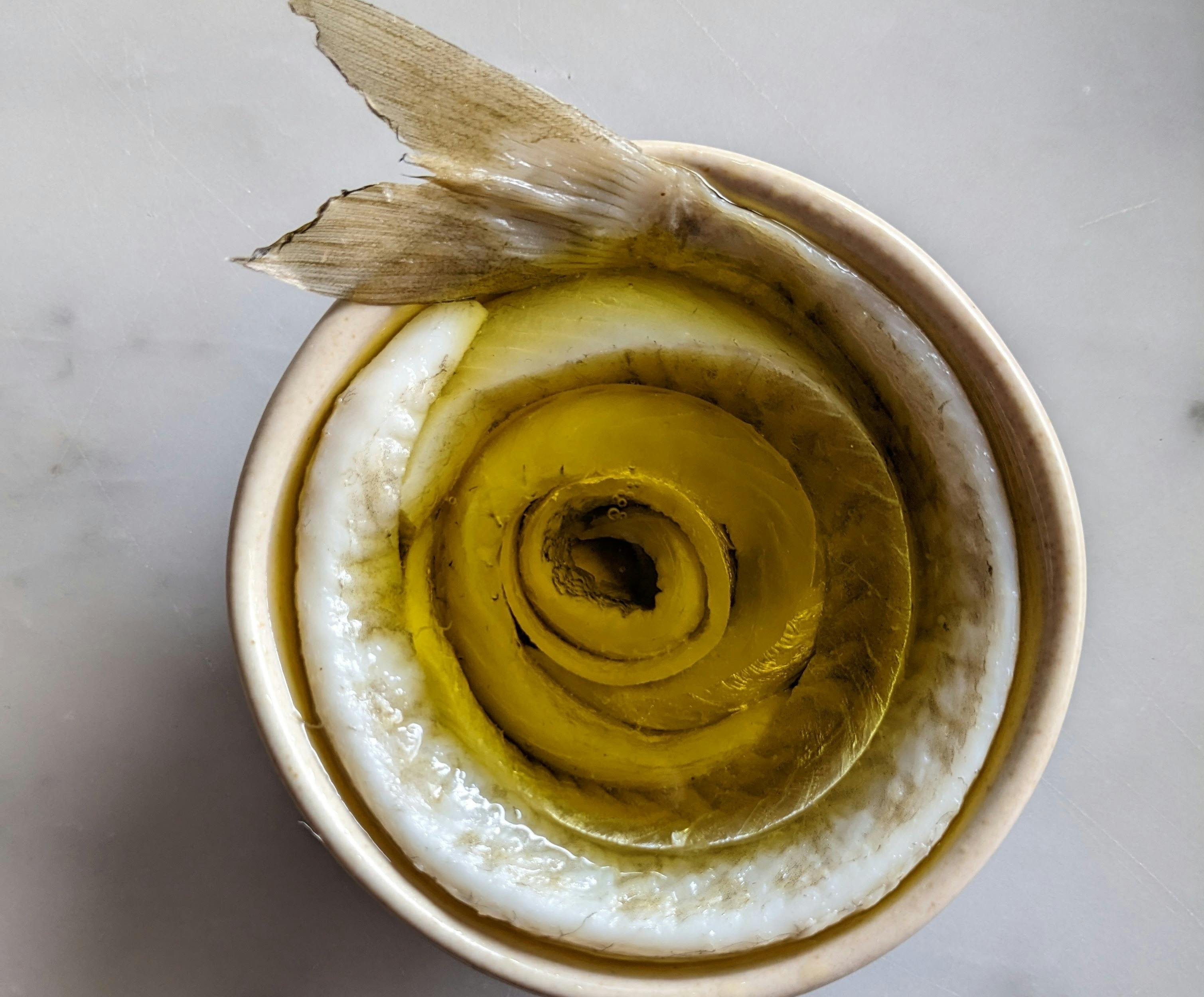 Preserved Corner Inlet King George Whiting