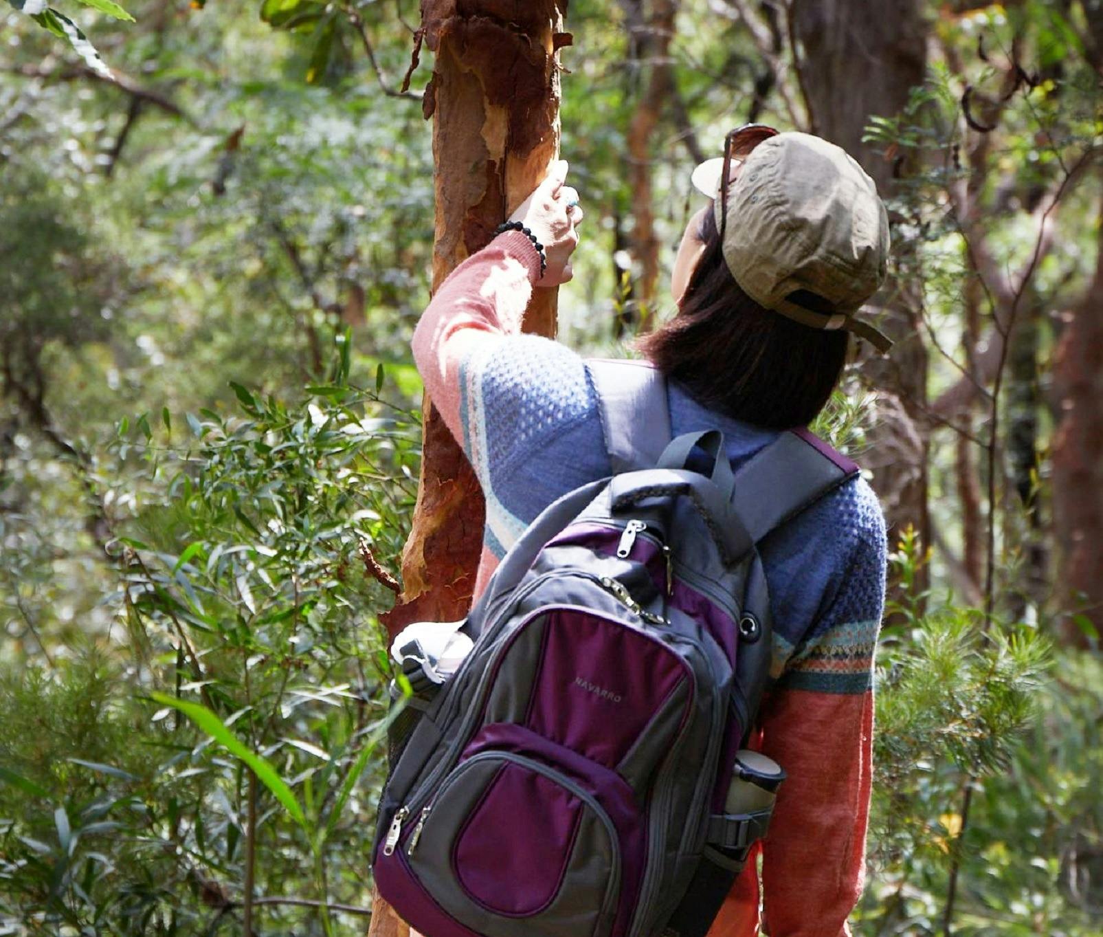 Forest Bathing (Shinrin-yoku) Walk