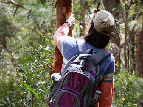 Forest Bathing (Shinrin-yoku) Walk
