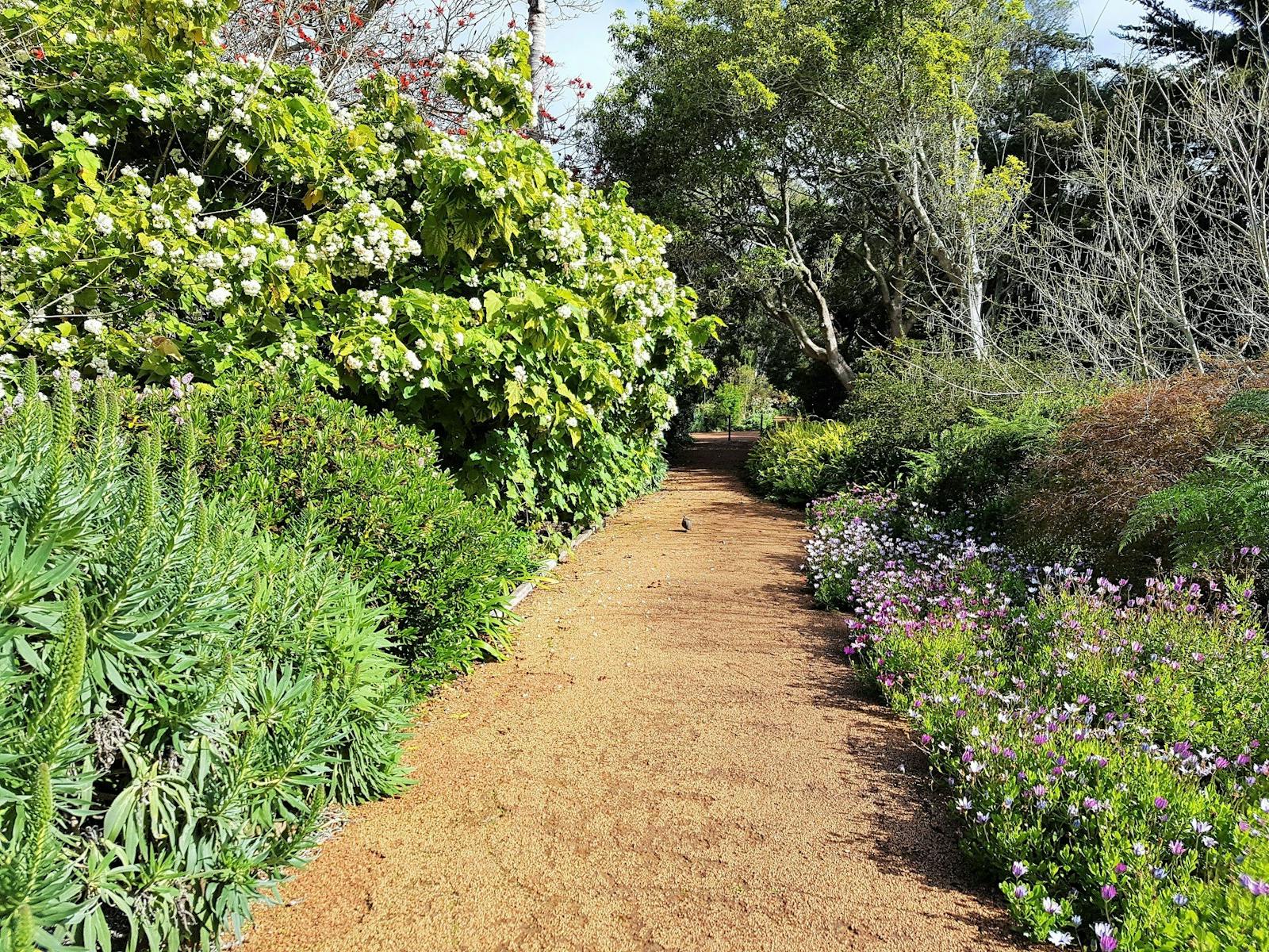 Strawberry Hill at Barmup