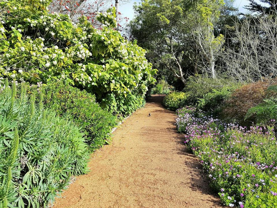 Looking south down the garden path (entrace way) at Old Farm, Strawberry Hill