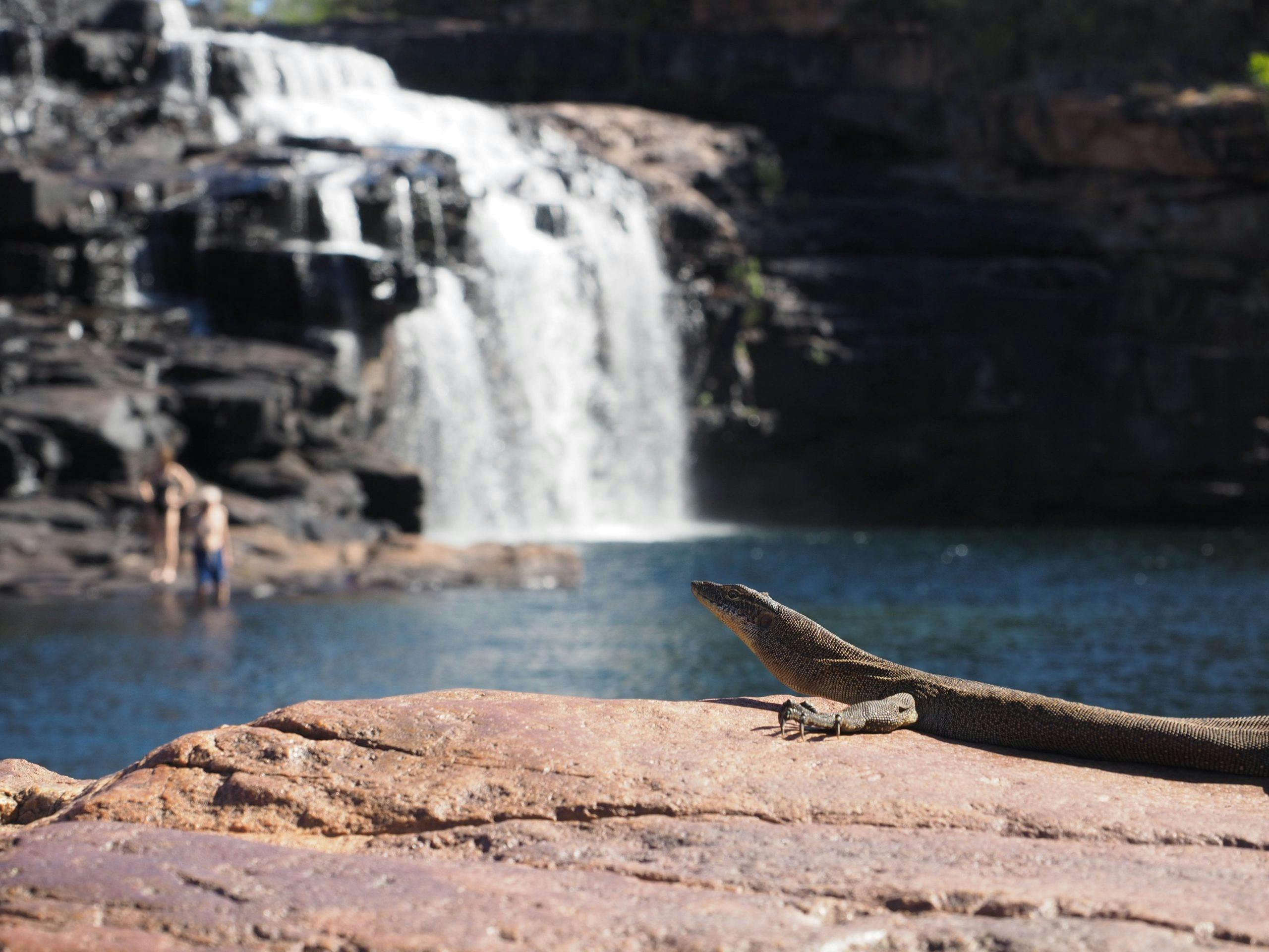 Manning Gorge
