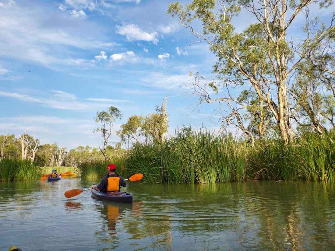 Canoe Adventures Riverland, Kayak Hire Berri, Hire South Au...