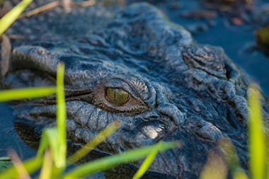Kakadu, Arnhem Land & Litchfield Hiking Tour - 6 Days
