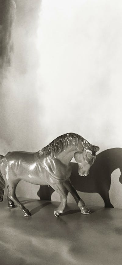 A black and white image of a toy horse
