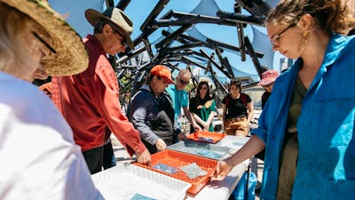 A group of people stand around water tubs making sun based prints