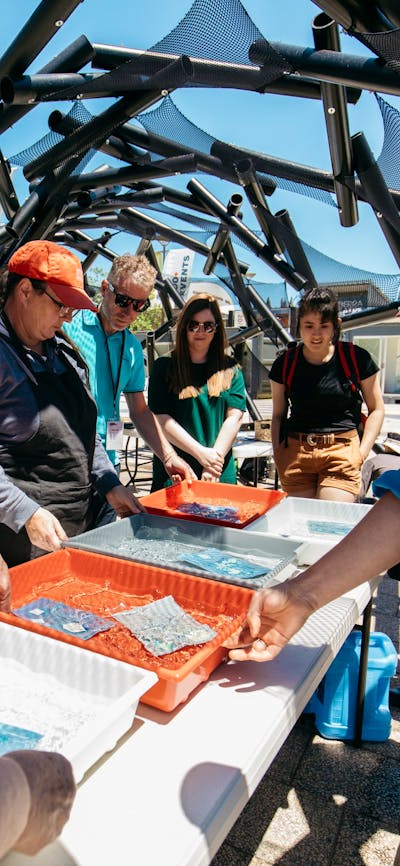 A group of people stand around water tubs making sun based prints