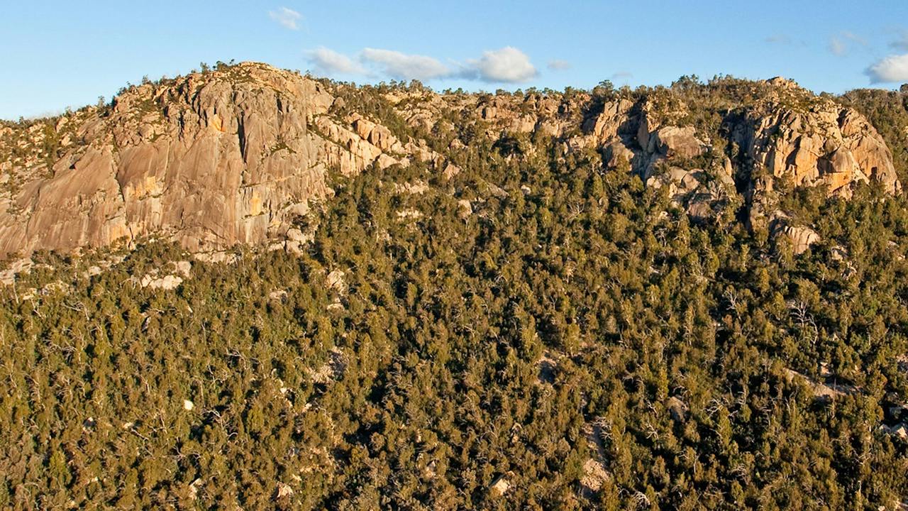 Booroomba Rocks (Detail). Photo courtesy of Barry Armstead
