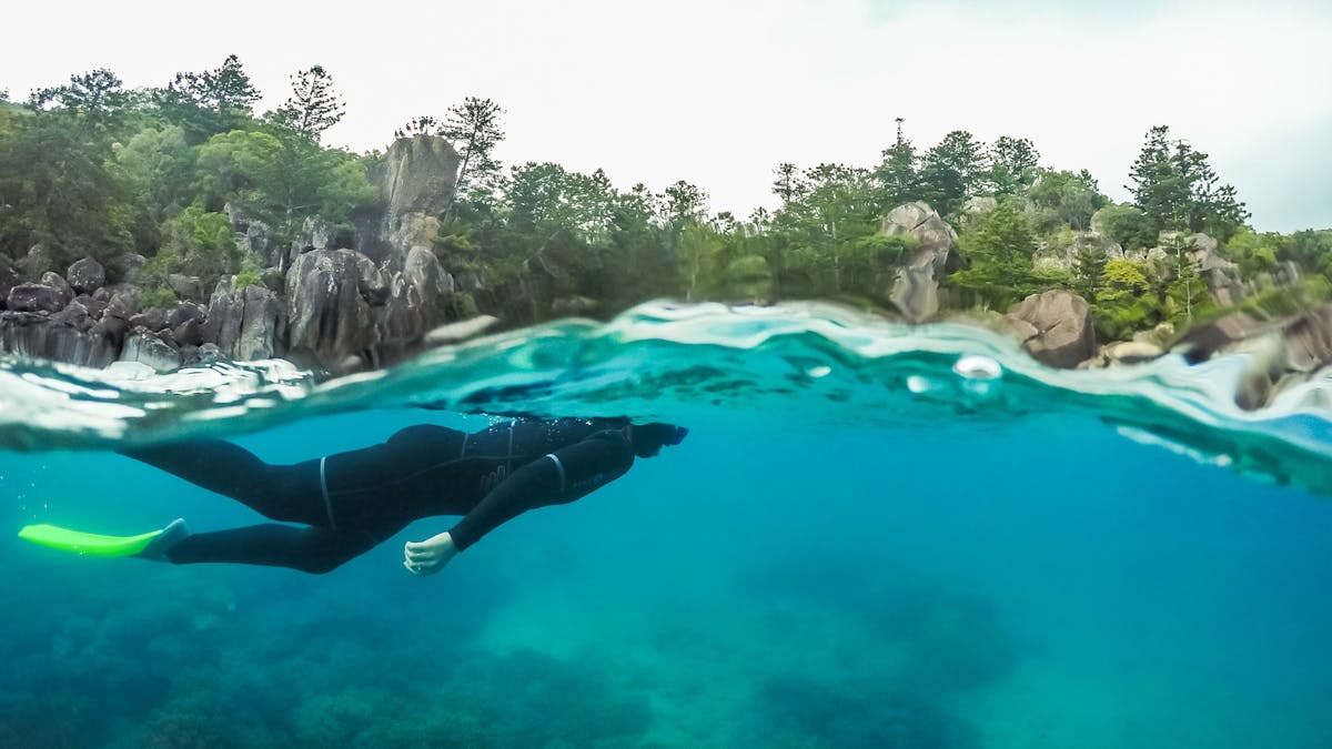 snorkeller over reef