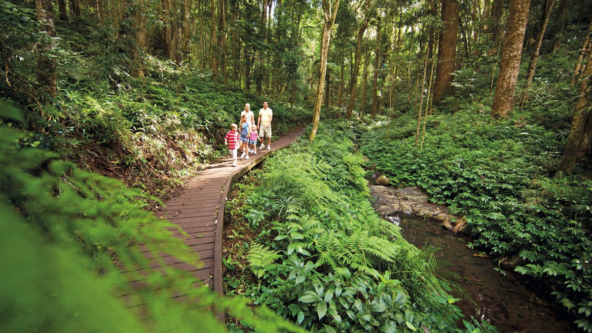 Bunya Mountains