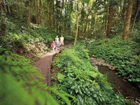 Bunya Mountains image
