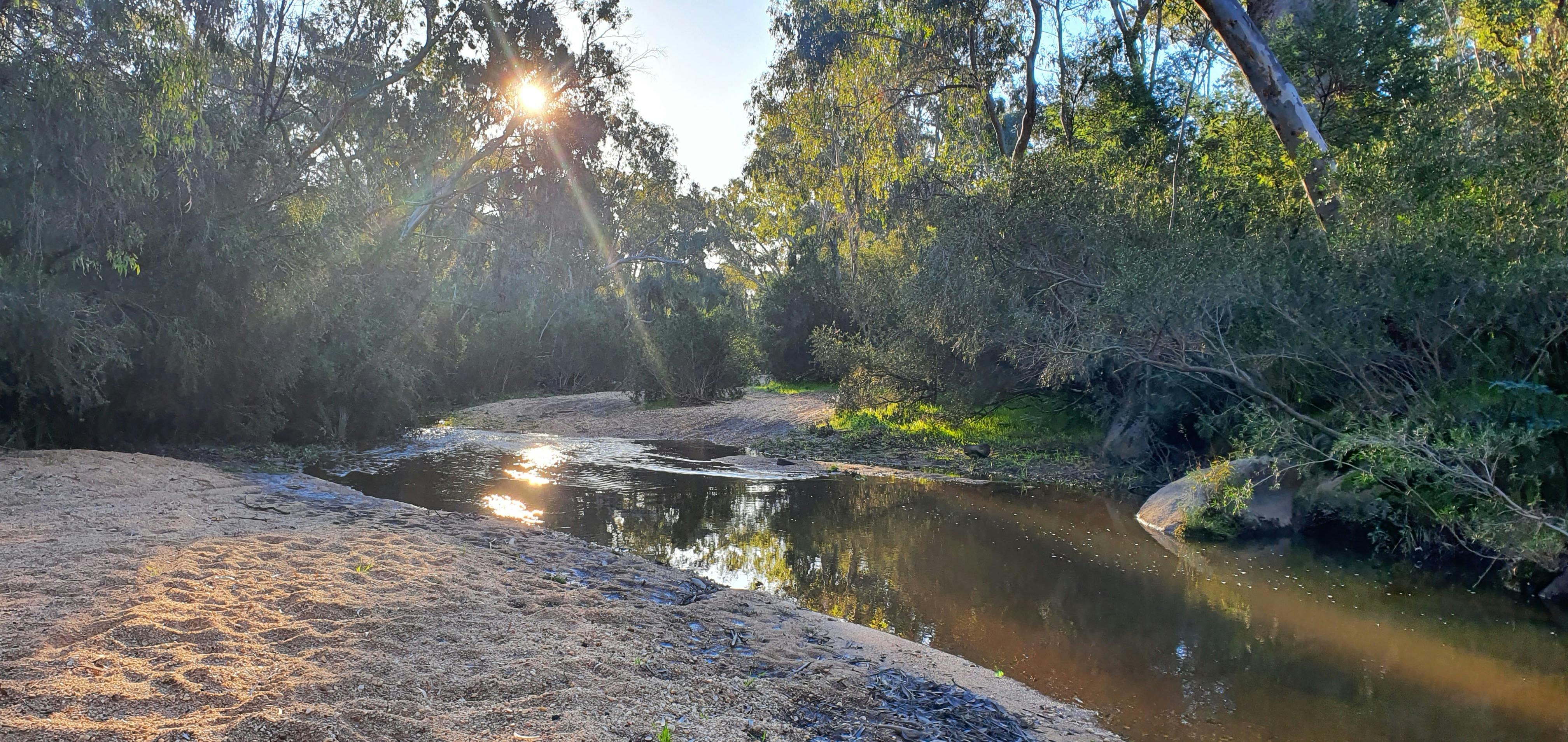 Reedy Creek - Woolshed Valley - Victoria's High Country