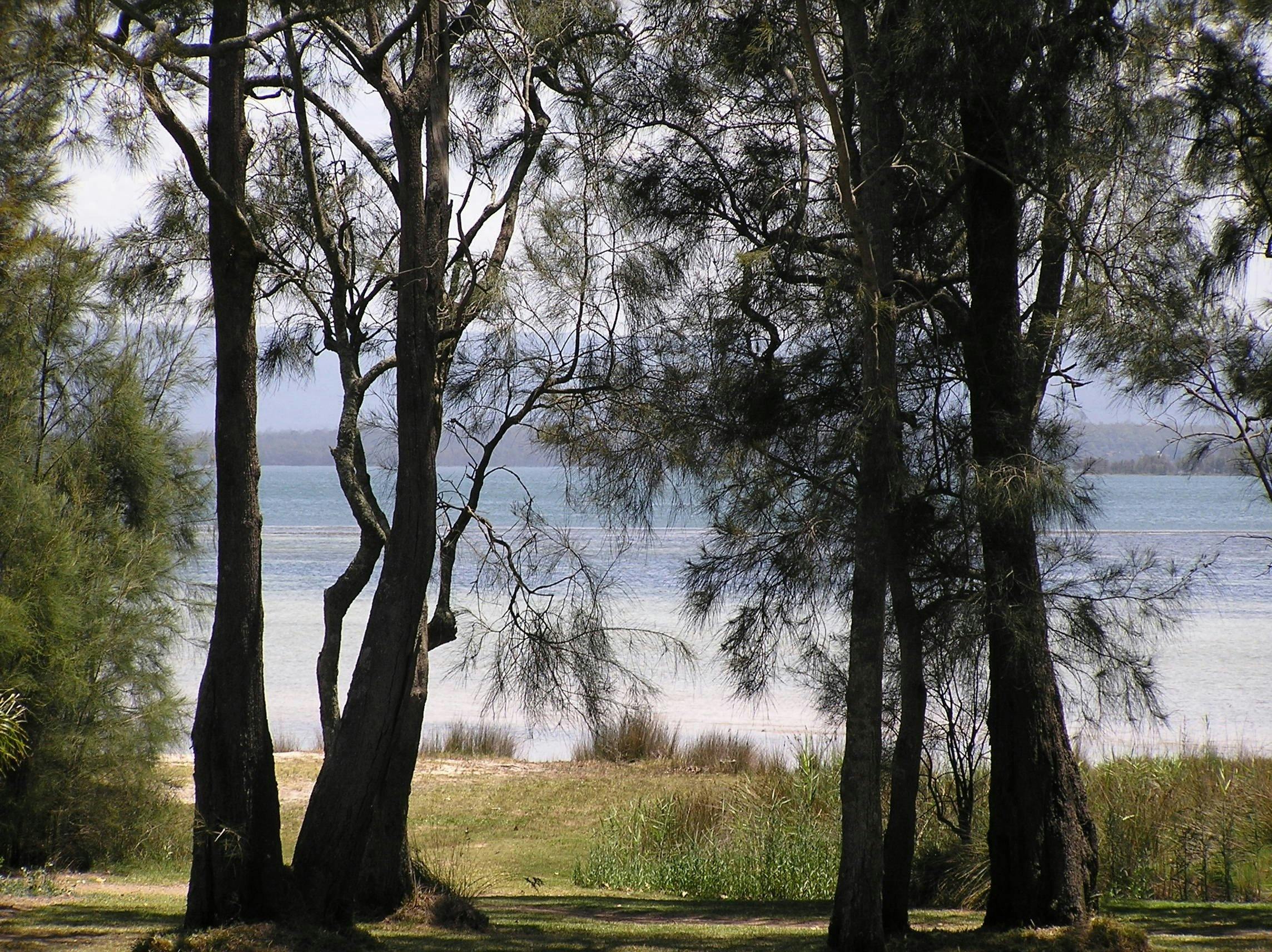 Paradise Bungalow Waterfront
