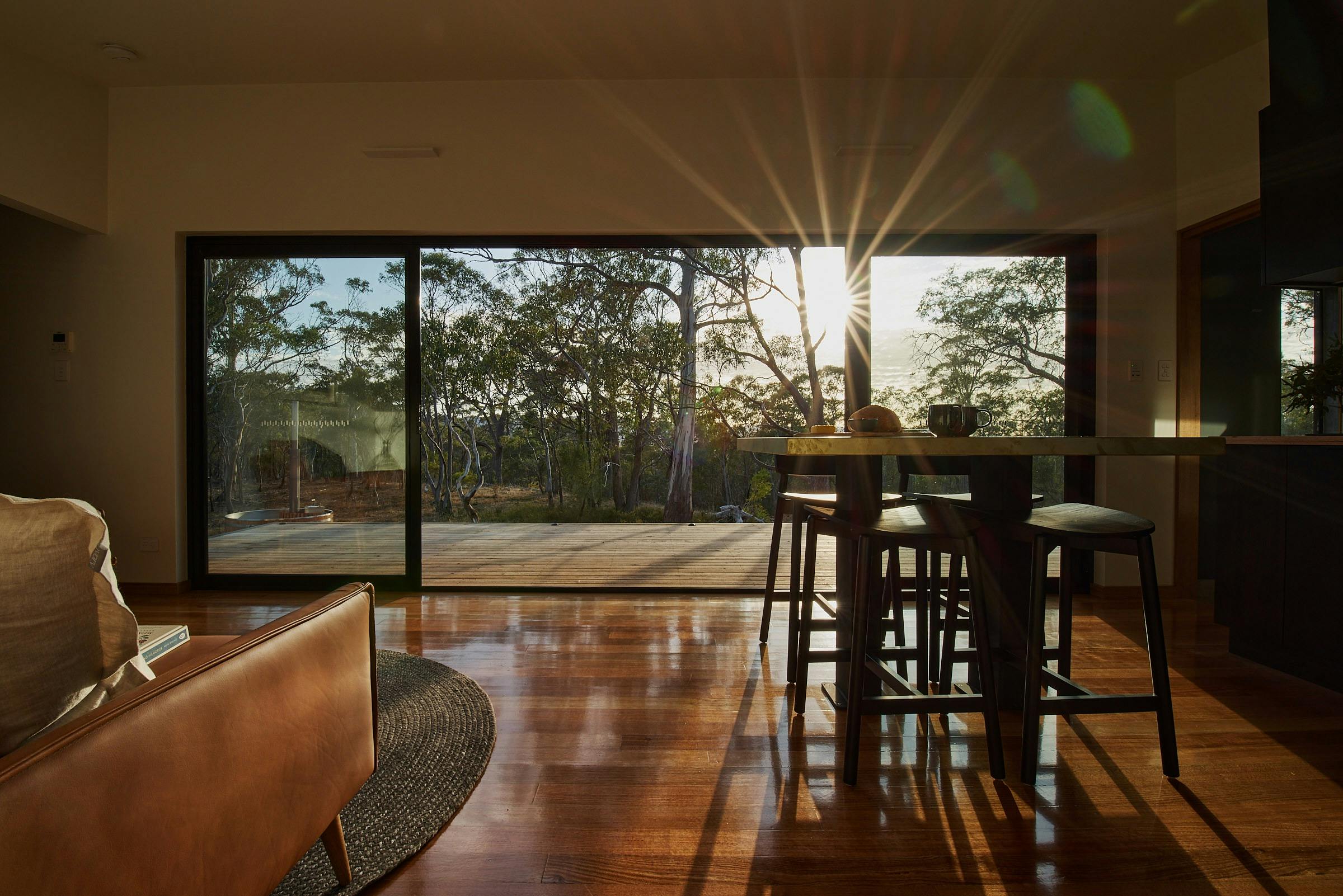 Interior room looking out on the bush with sun shining through full glass frontage