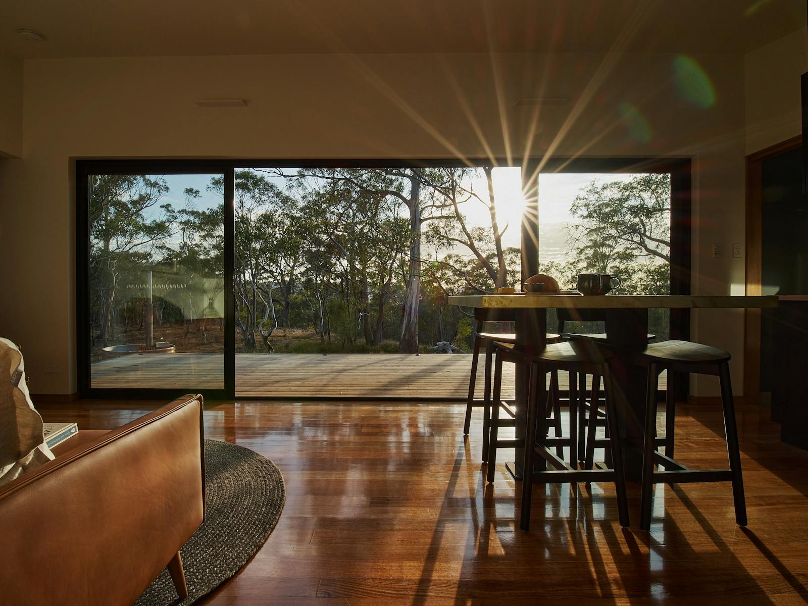 Interior room looking out on the bush with sun shining through full glass frontage
