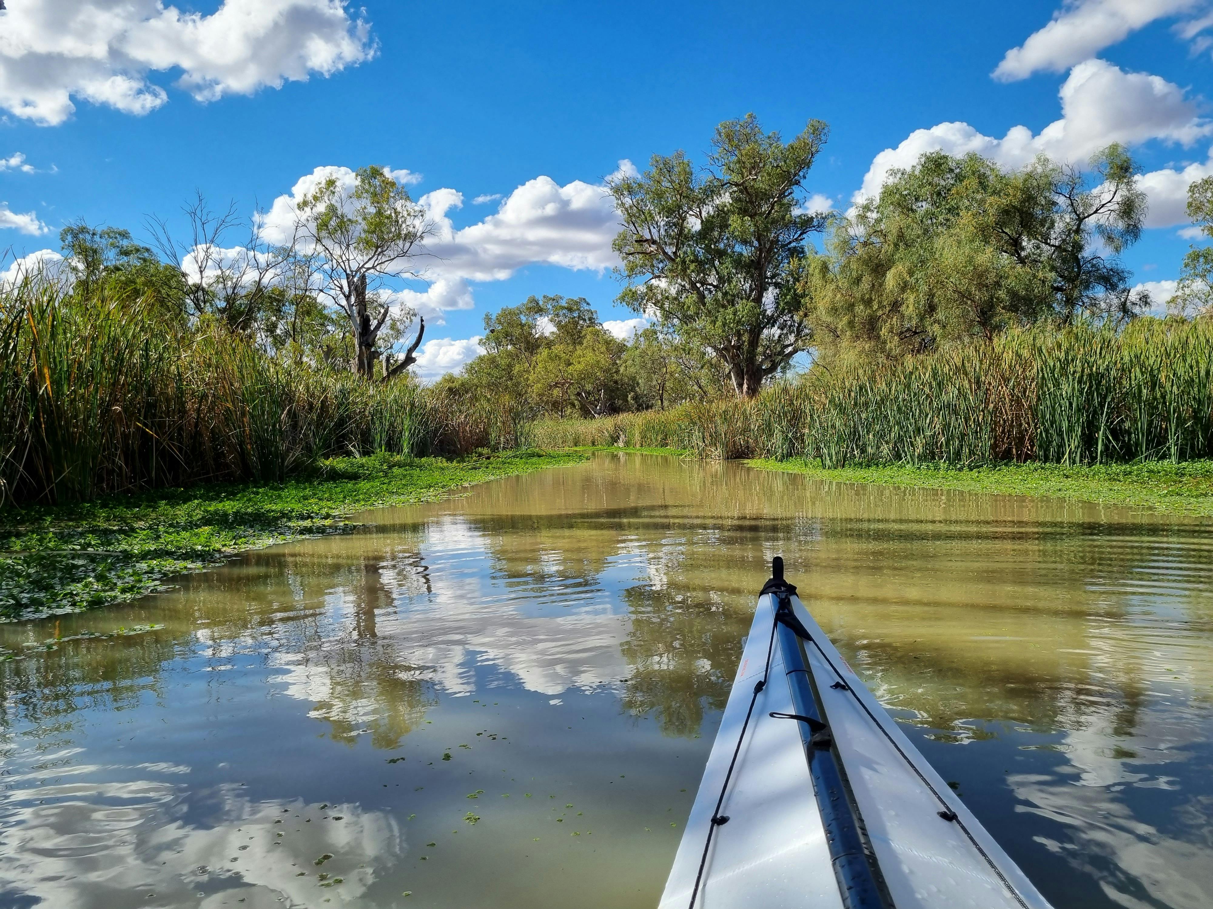 Kayaking in Chamber Creek