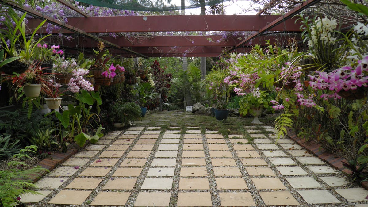 Wisteria/Orchid Courtyard