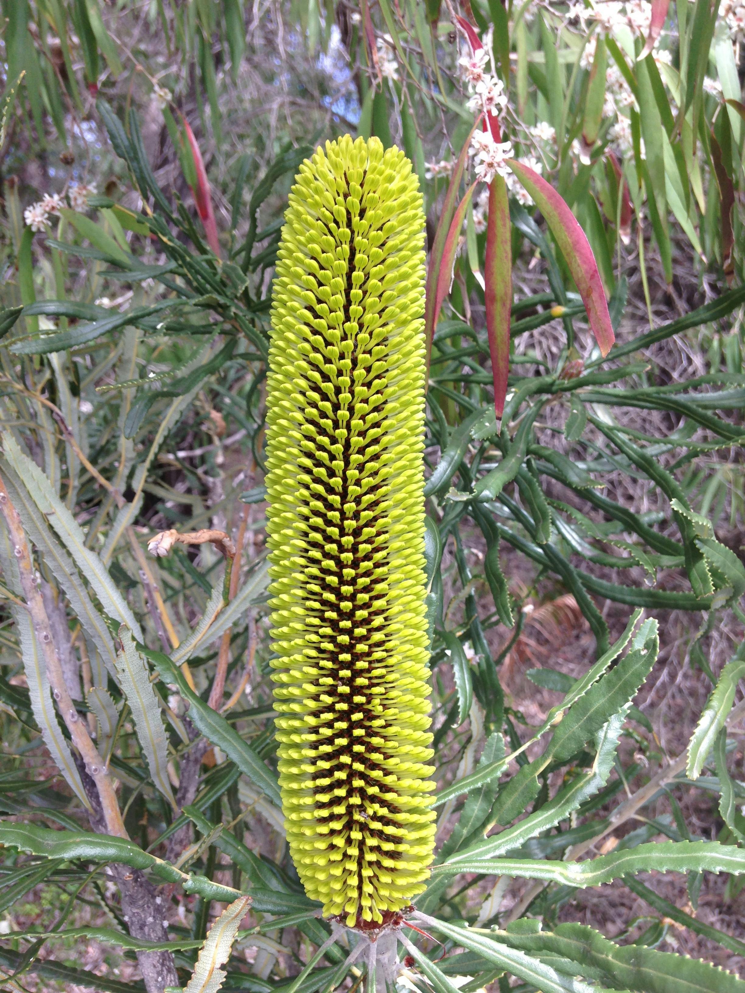 South West Eco Discoveries, Abbey, Western Australia