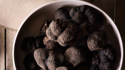 Truffle Harvest