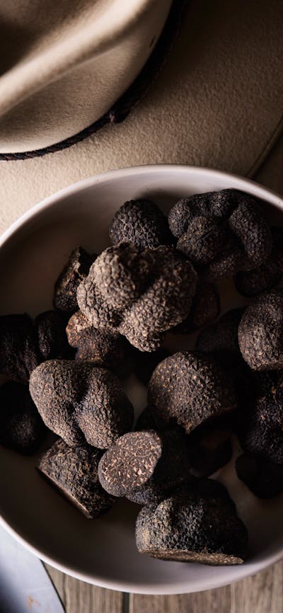Truffle Harvest