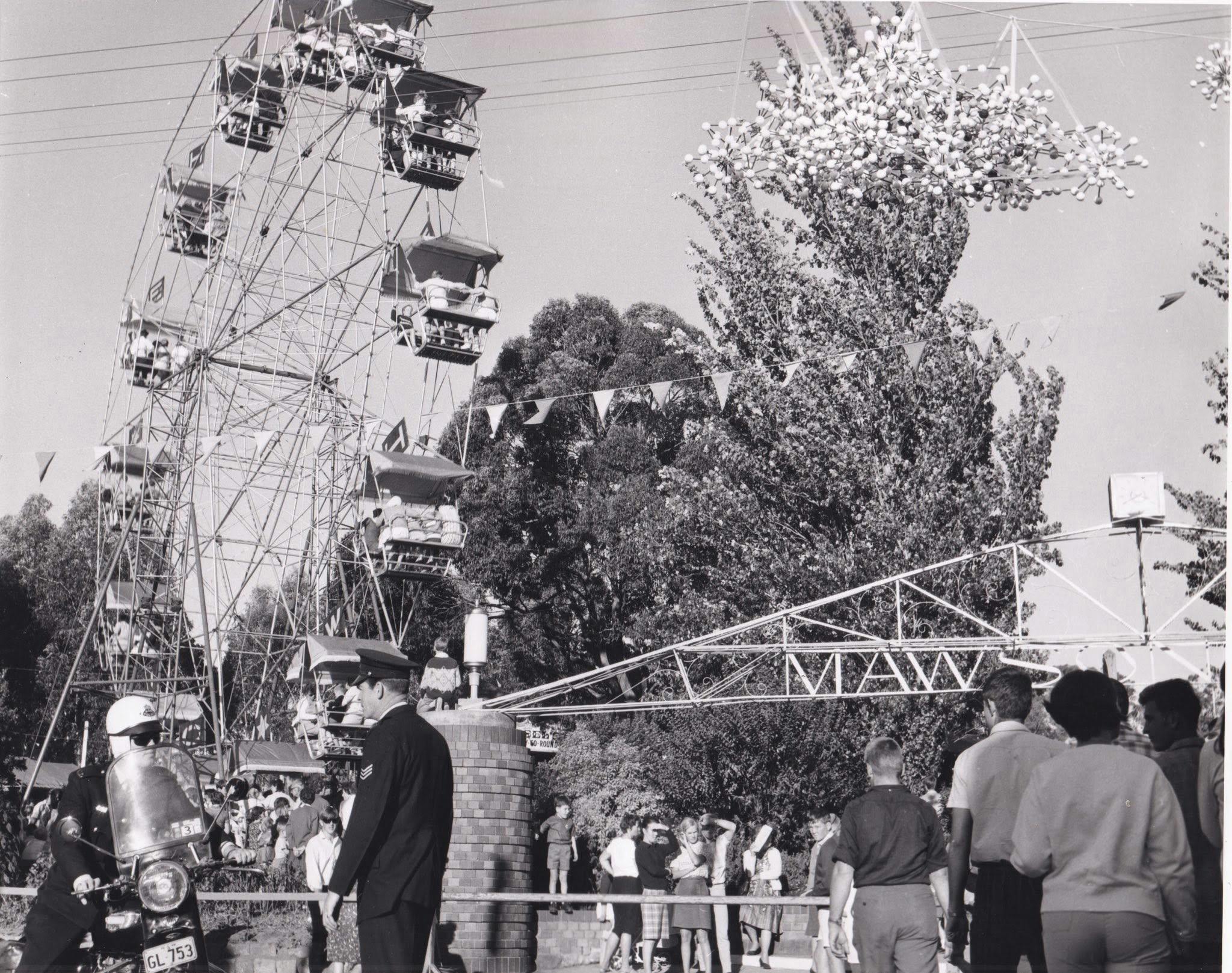 Image of people at a festival with a Ferris wheel in the background