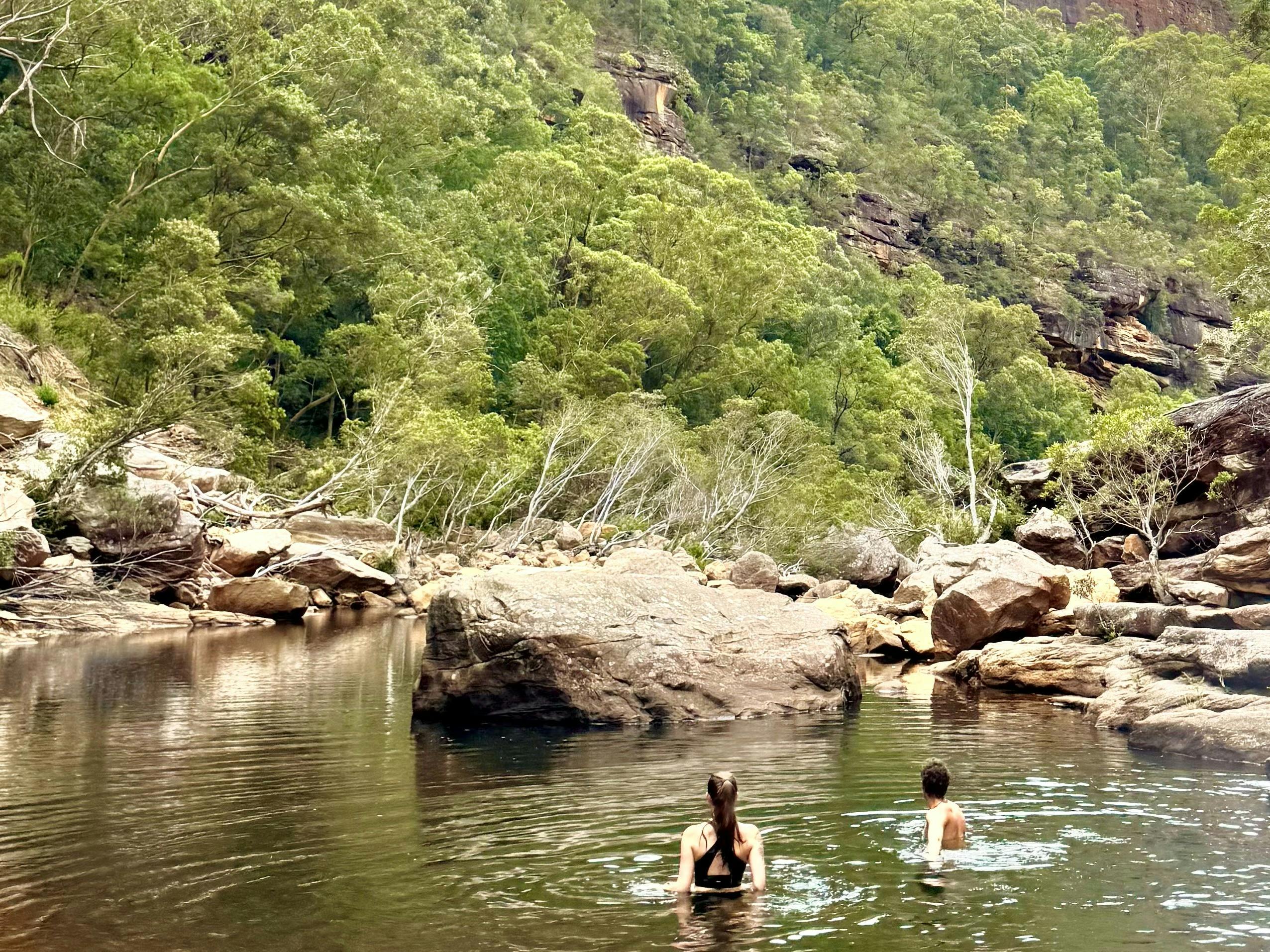 Blue Mountains 4 hour Eco Tour Deep Gorge Adventure