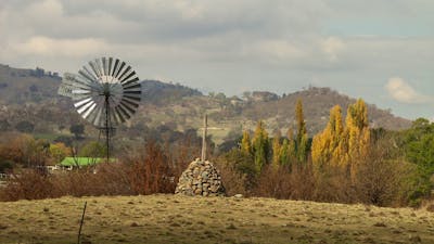 Grassy foreground with stone cairn, windmill and poplars and homestead
