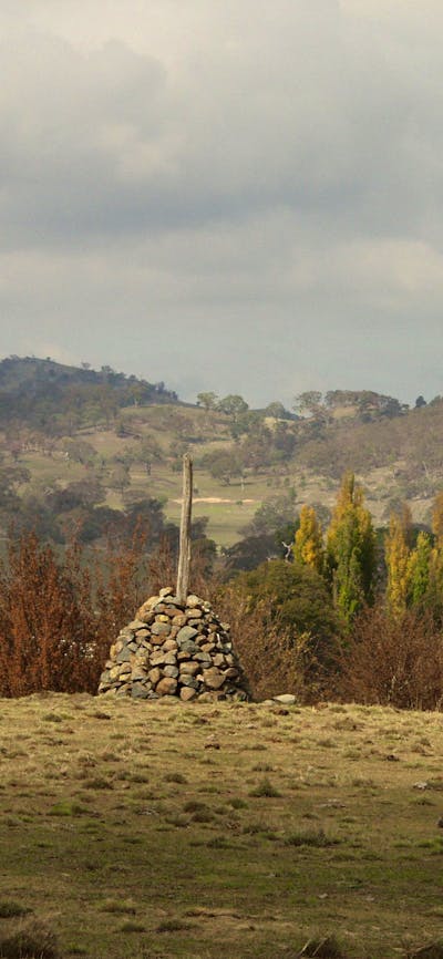 Grassy foreground with stone cairn, windmill and poplars and homestead