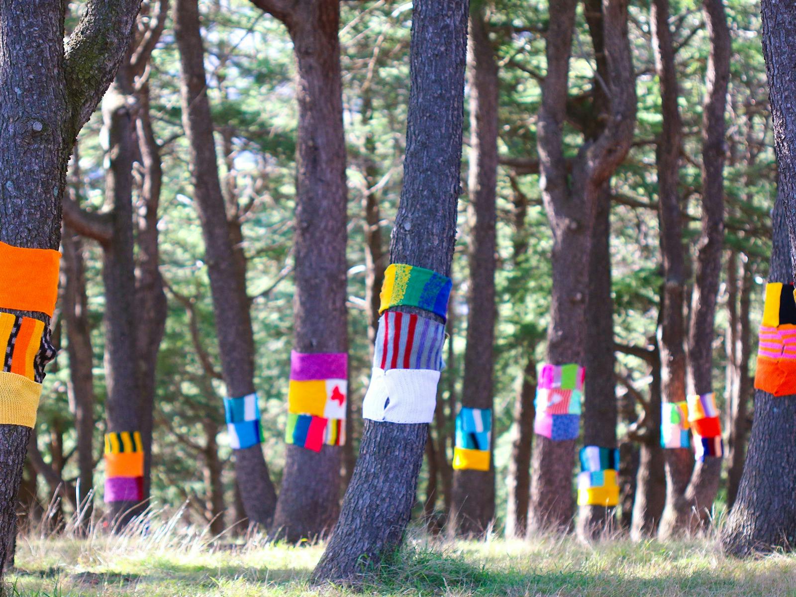 A forest of tree trunks, each wrapped with several brightly coloured scarves