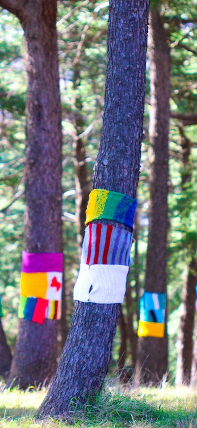 A forest of tree trunks, each wrapped with several brightly coloured scarves