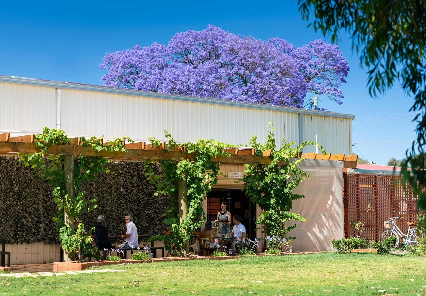 The Naked Fox Wine Lounge and Cafe