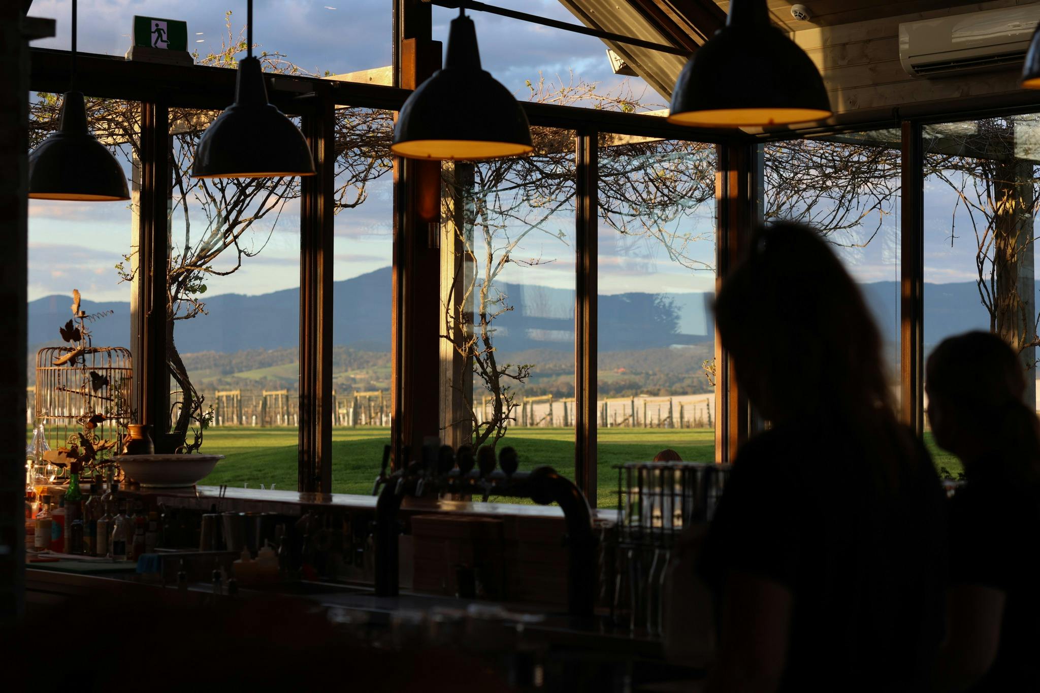 The View