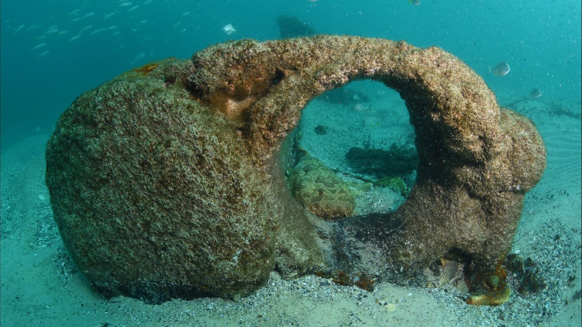 Scottish Prince Dive Site
