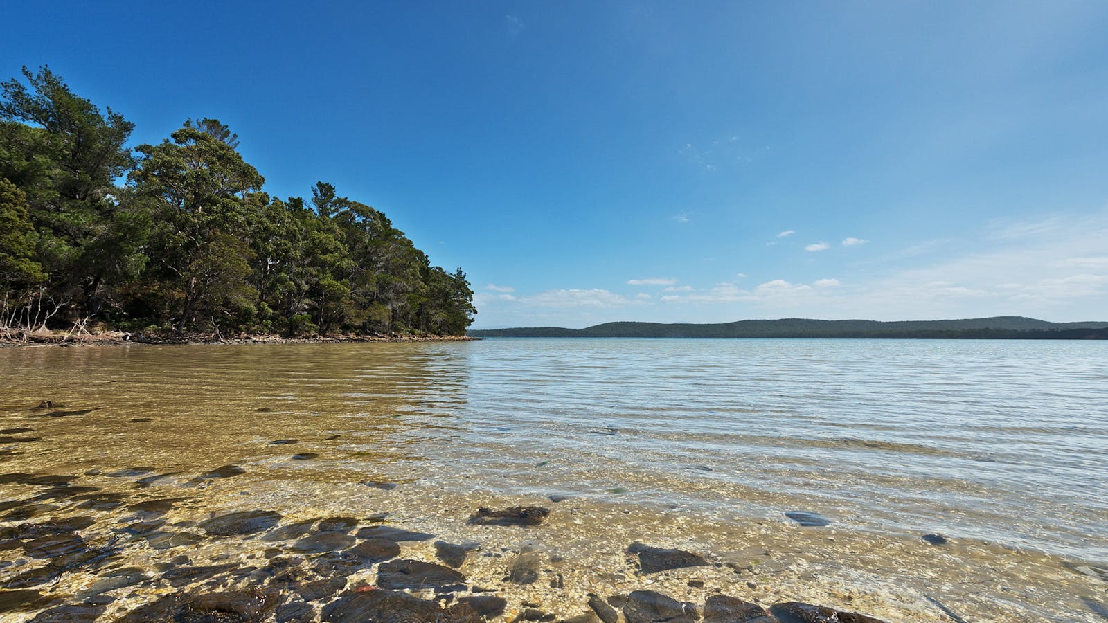 Cloudy Bay Lagoon Estate: Cloudy Bay Lagoon water's edge.