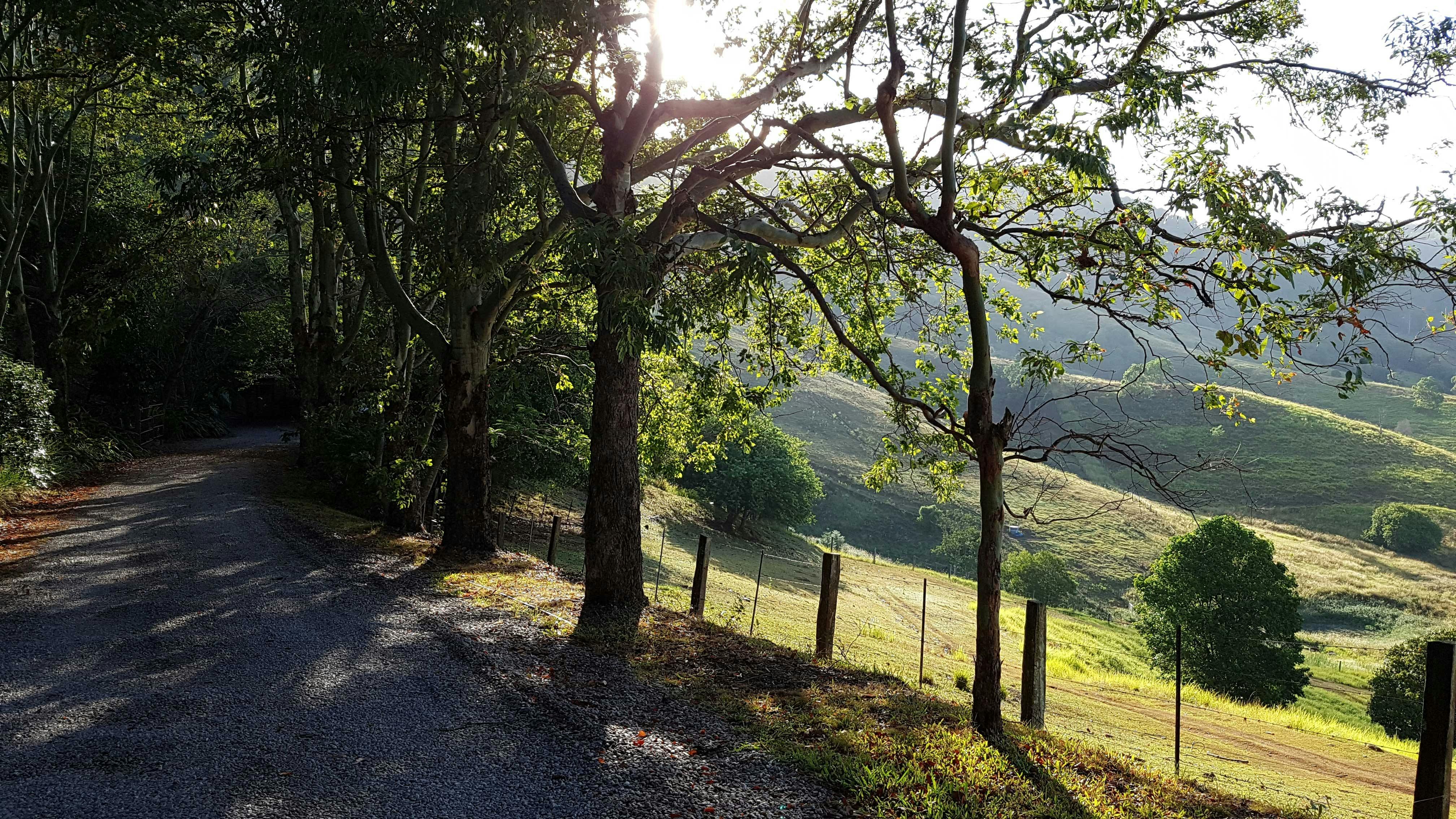 Driveway and view of the mountains