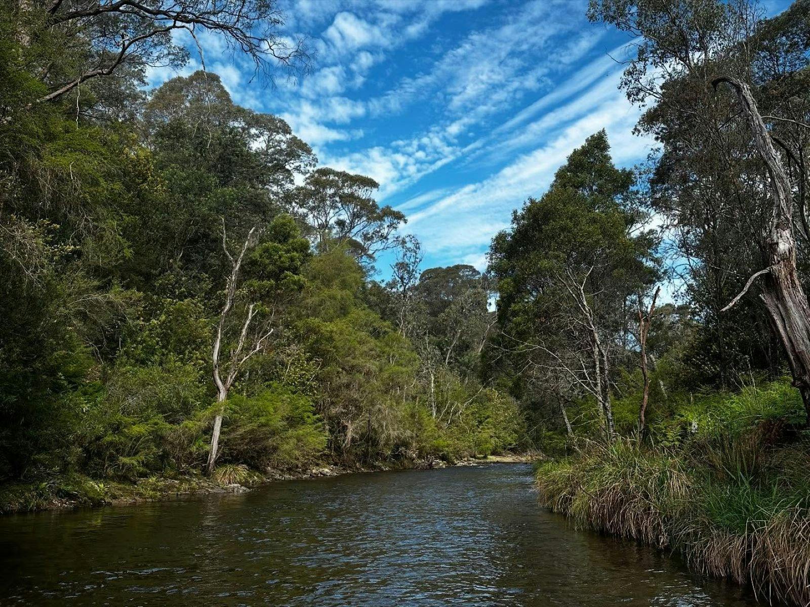 The pristine waters in the Mitta Valley