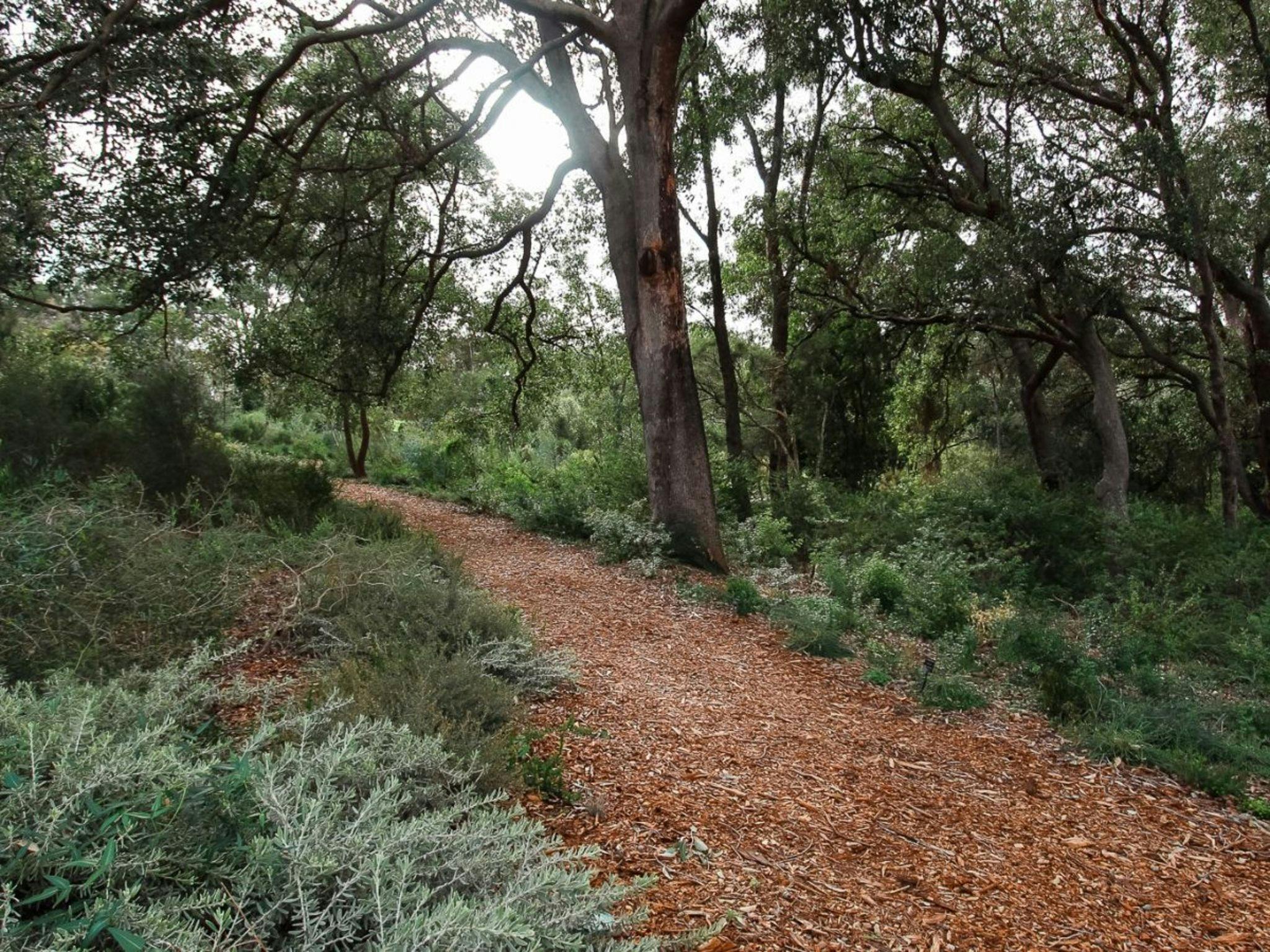 Kings Park Botanicals and Beyond Guided Hike