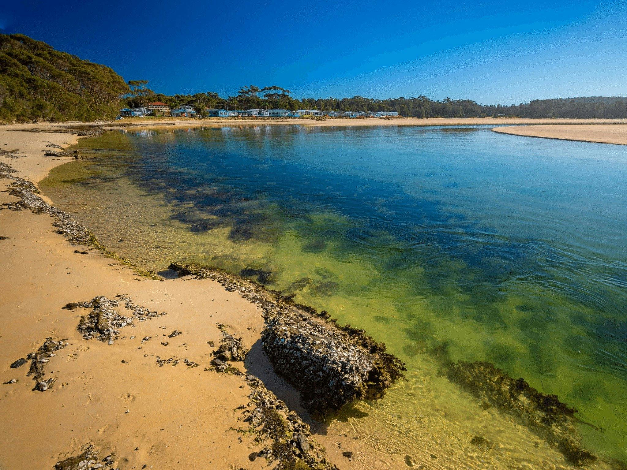 Lake mouth, beach.