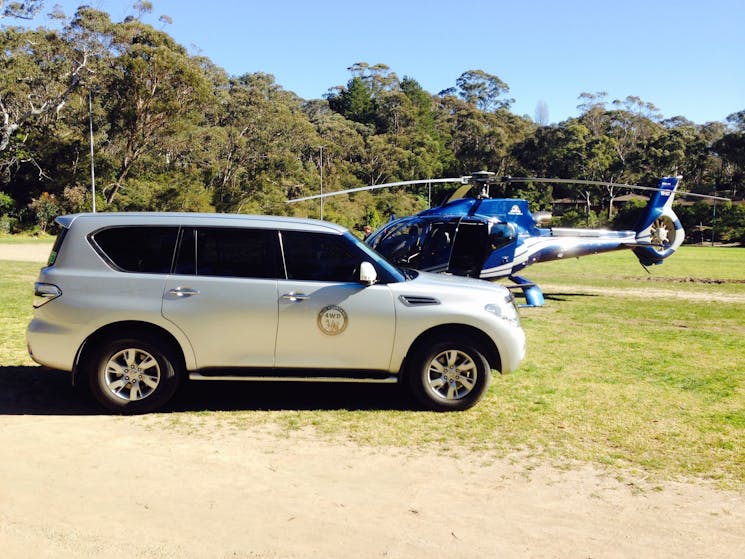 Blue Mountains Eco Tour with private guide