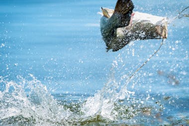 Fishing & Feasting Package