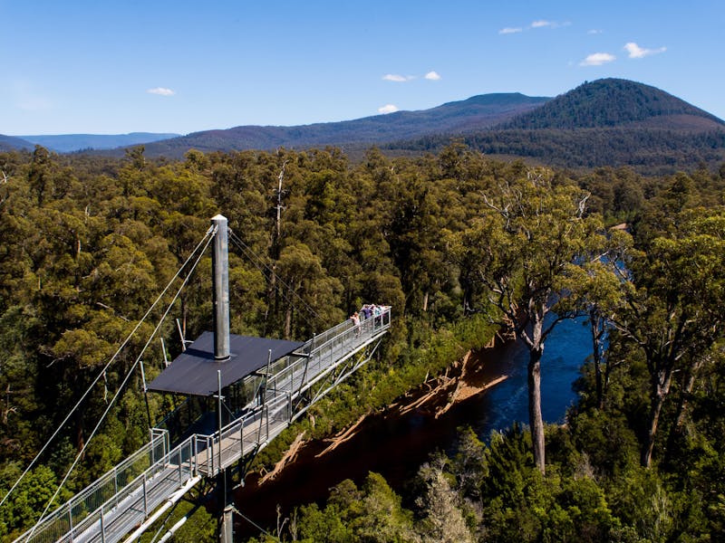 Tahune Adventures Tasmania - Tahune Airwalk