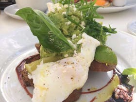Lily's Pad Cafe