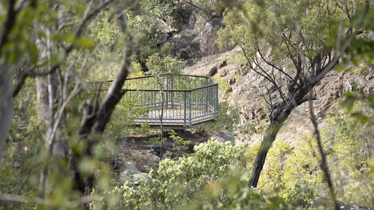 Looking through trees to a wood and metal lookout platform.