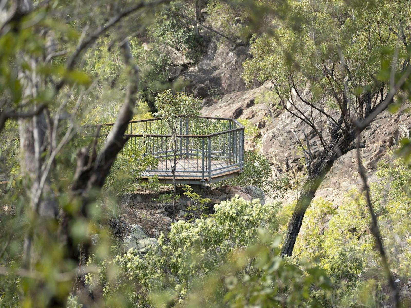 Looking through trees to a wood and metal lookout platform.