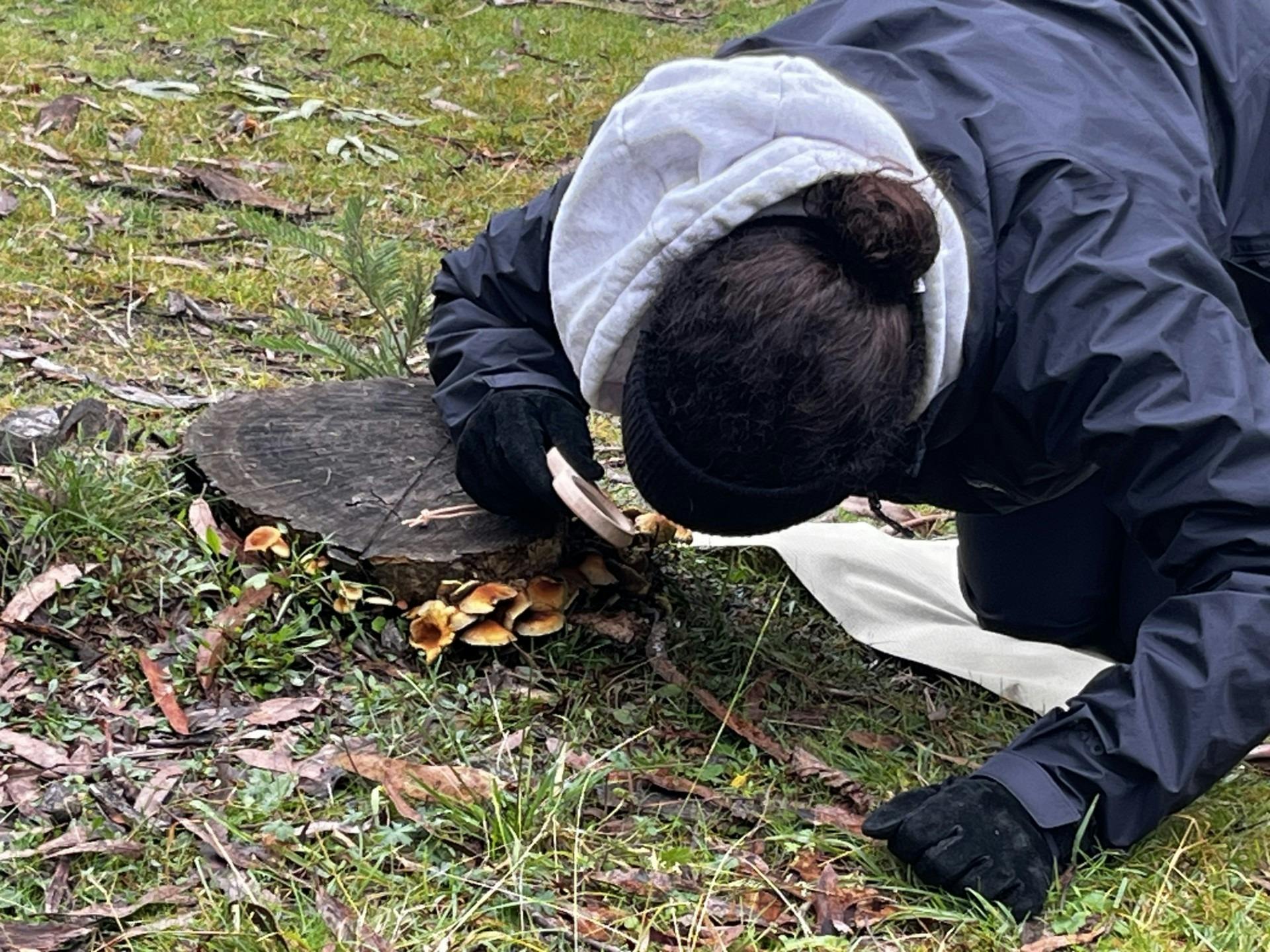 Woman exploring tiny details in nature with magnifying glass