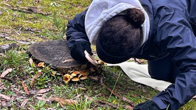 Woman exploring tiny details in nature with magnifying glass