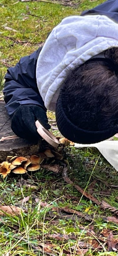 Woman exploring tiny details in nature with magnifying glass