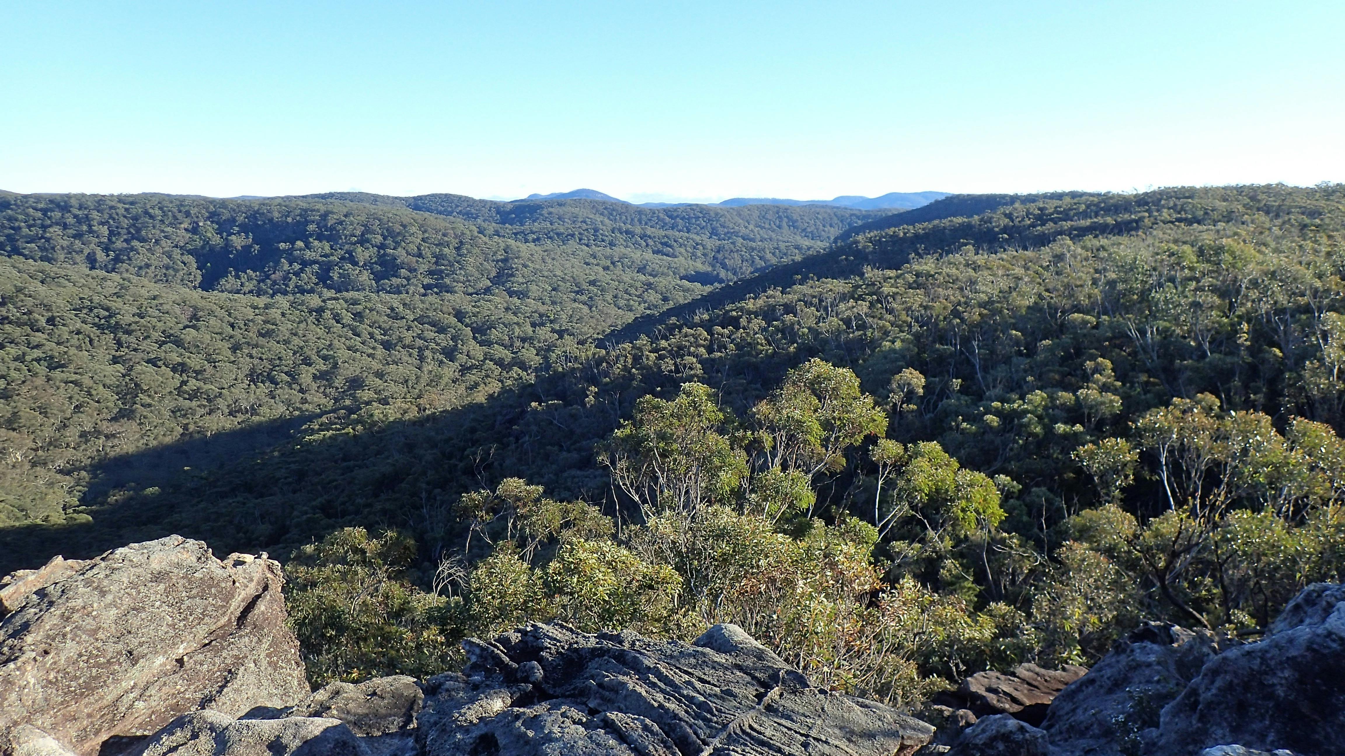 Looking across the mid-mountains area from Linden Ridge, Blue Mountains National Park