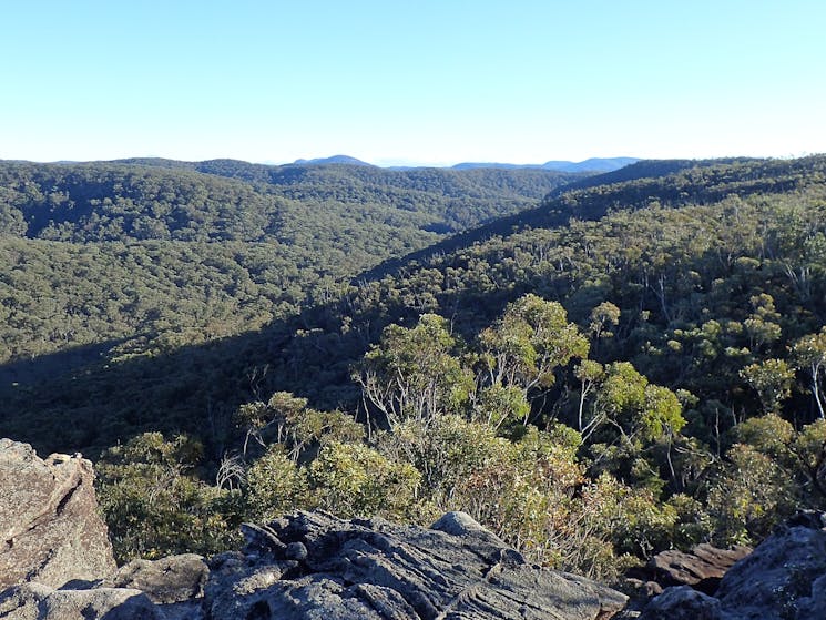Looking across the mid-mountains area from Linden Ridge, Blue Mountains National Park