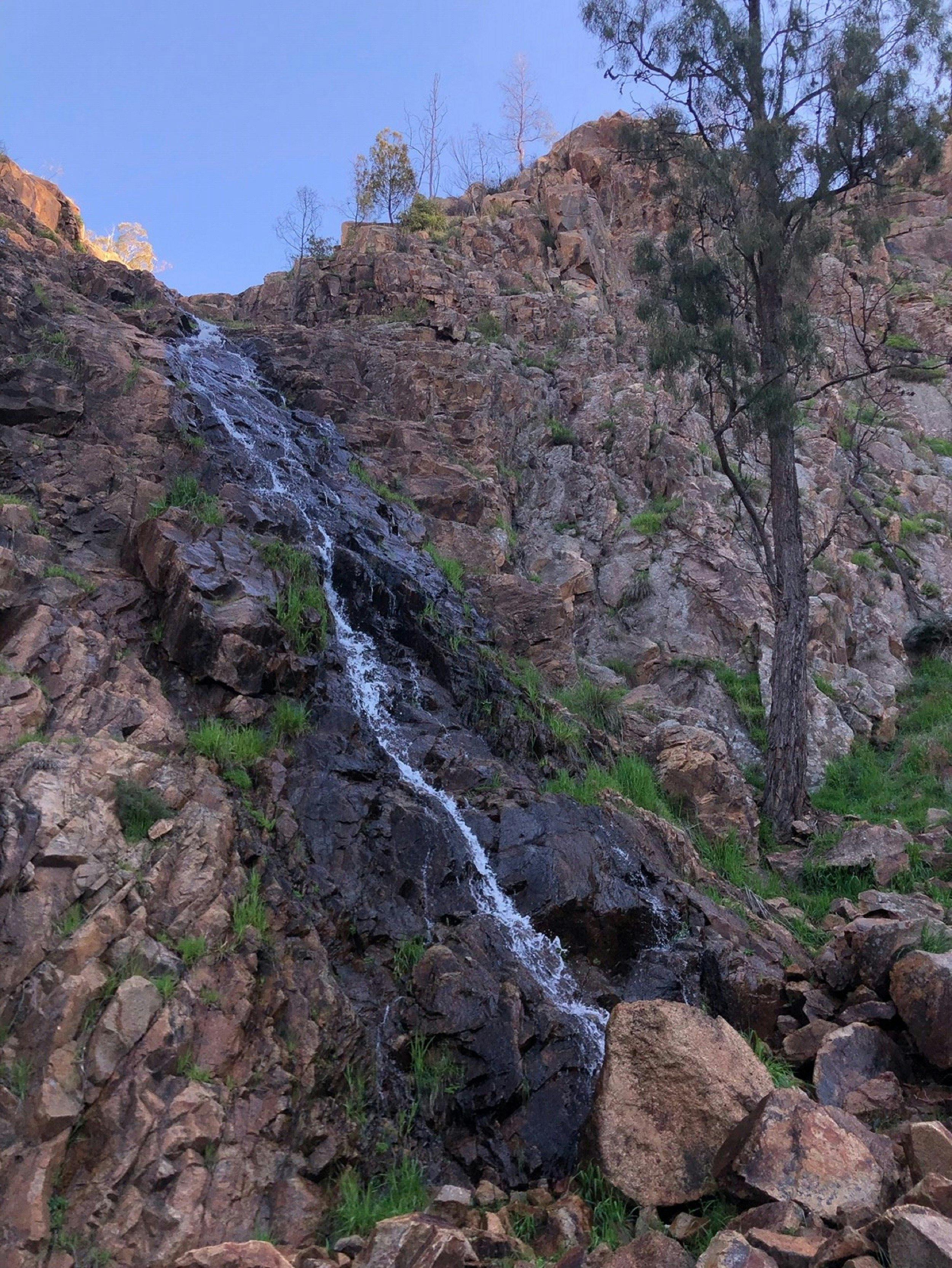 Closeup of Waterfall cascading over rocks and bolders, native grasses, tree,